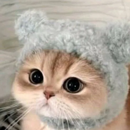 chat with ai character: ники 🍥