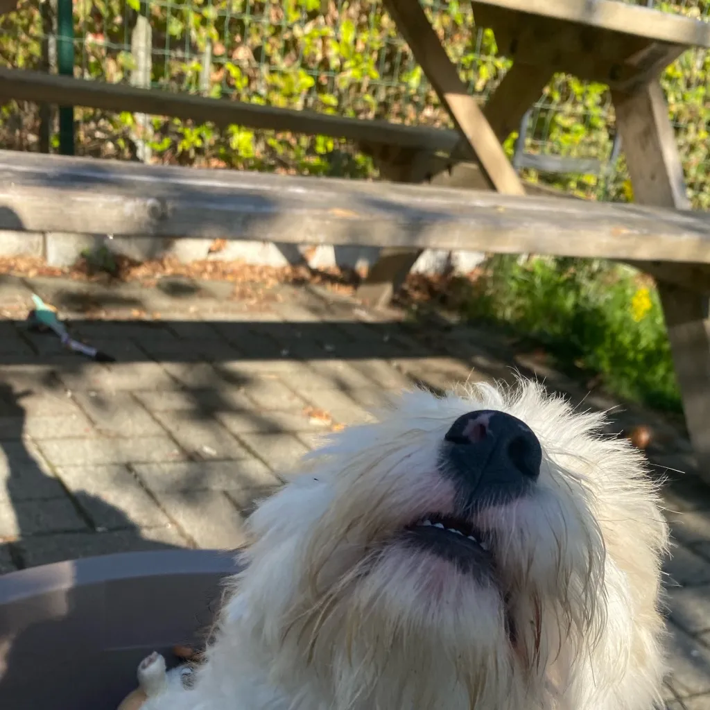 chat with ai character: Kny 