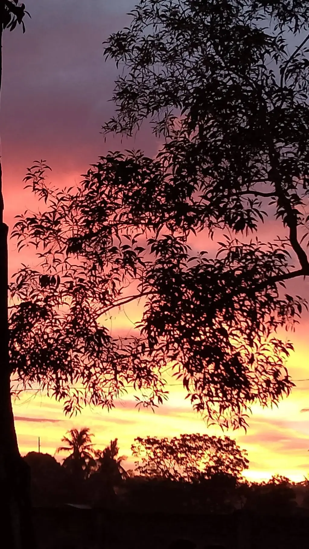 ai character: peacefuldayinkny background