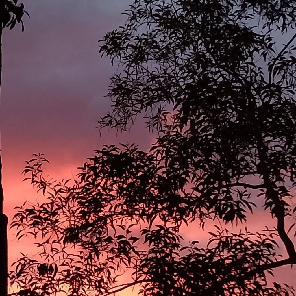 chat with ai character: peacefuldayinkny