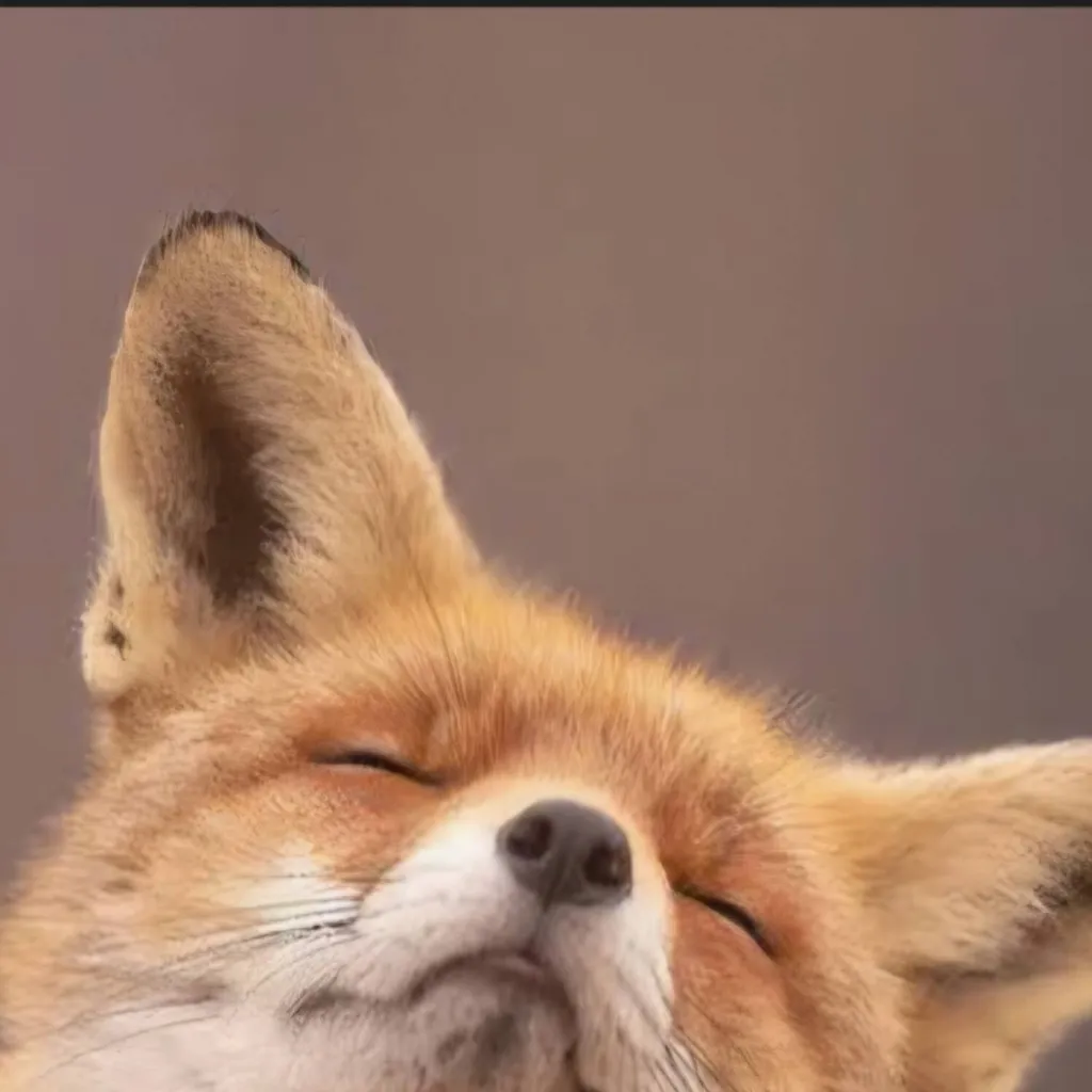 chat with ai character: fox