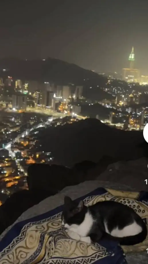 ai character: Islamic (Pt 11)  background