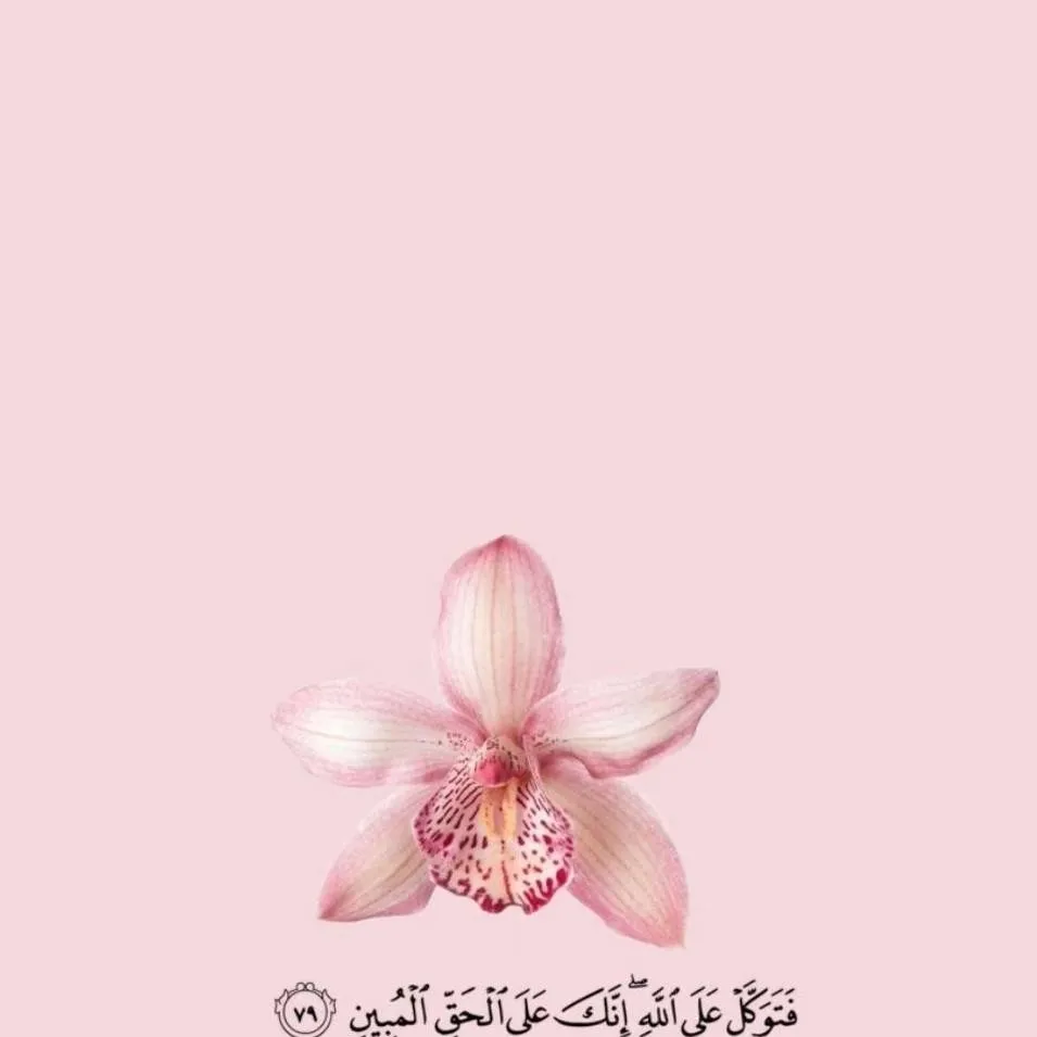 chat with ai character: Islamic🌸 (Pt 15) 