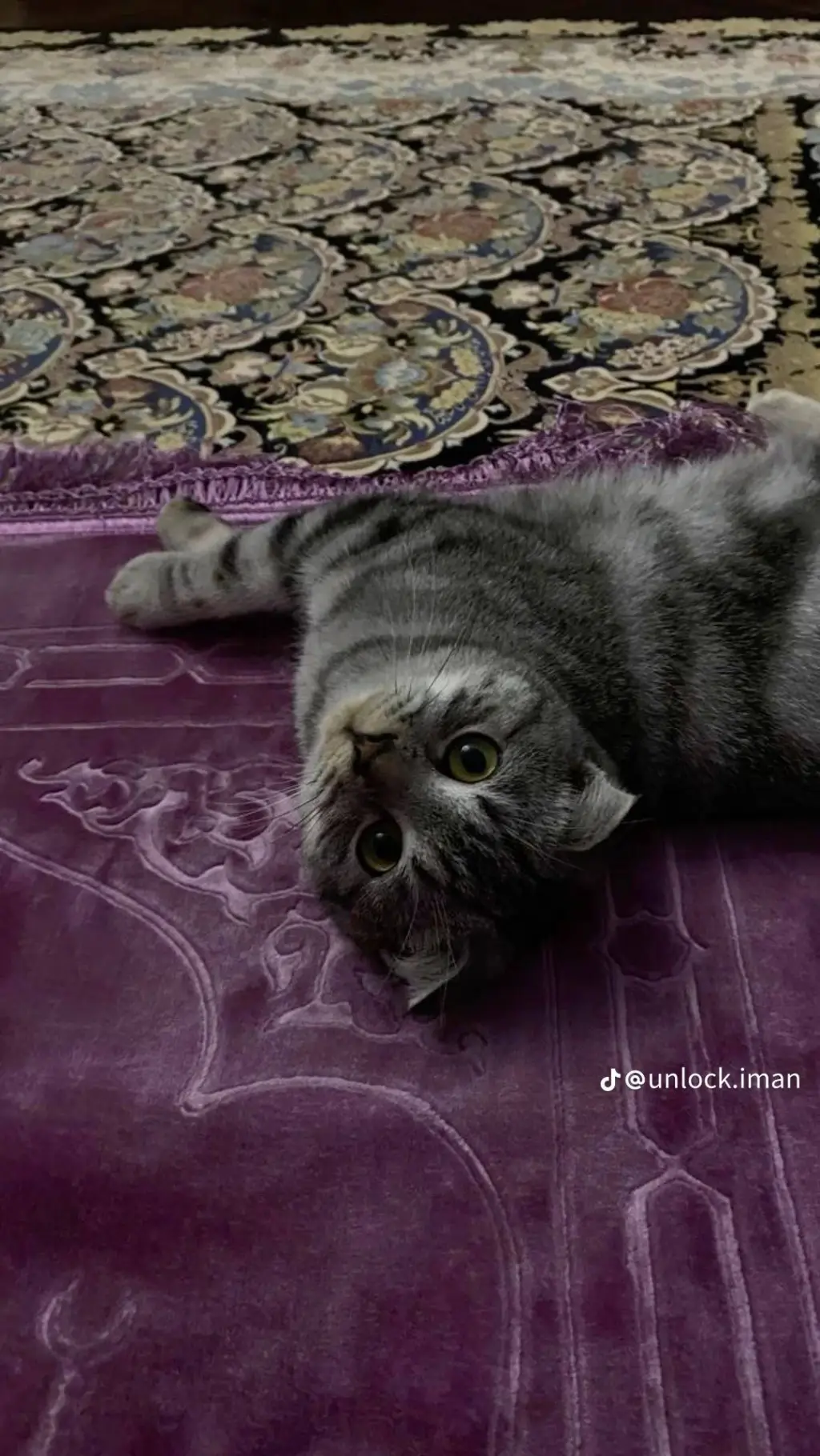 ai character: Islamic🐾 (Pt 16)  background