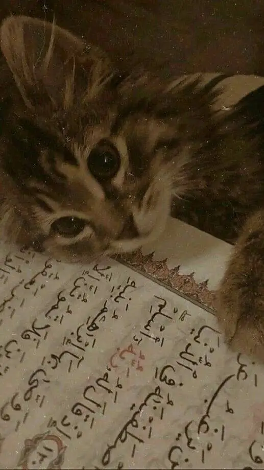 ai character: Islamic🍂 (Pt 17)  background