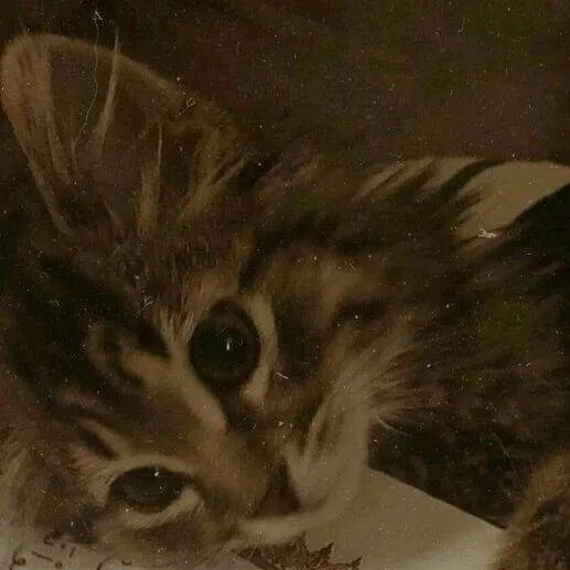 chat with ai character: Islamic🍂 (Pt 17) 