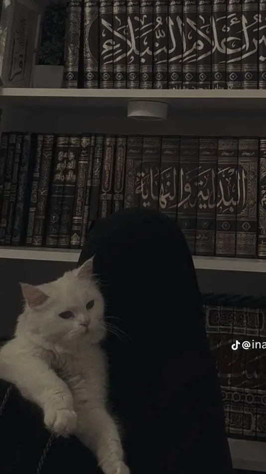 ai character: Islamic🖤 (Pt 18)  background