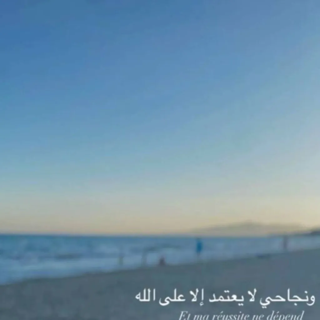 chat with ai character: Islamic🌺 (Pt 20) 