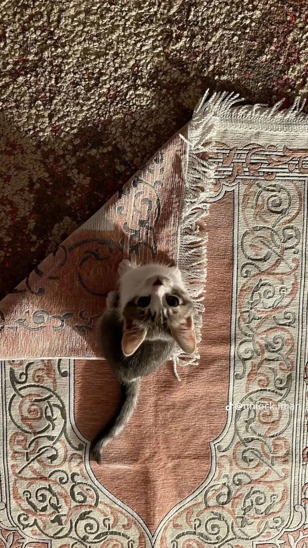 ai character: Islamic🥐 (Pt 29)  background