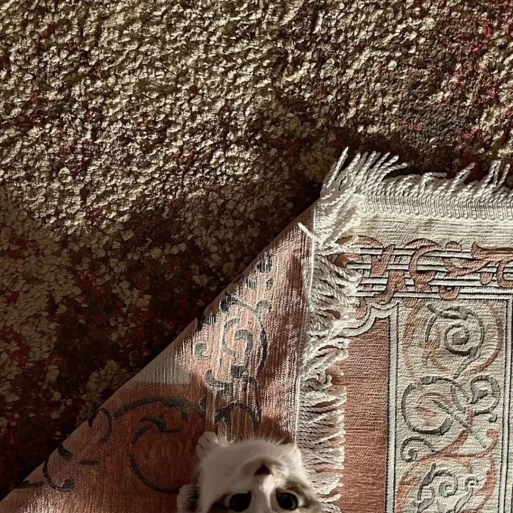 chat with ai character: Islamic🥐 (Pt 29) 