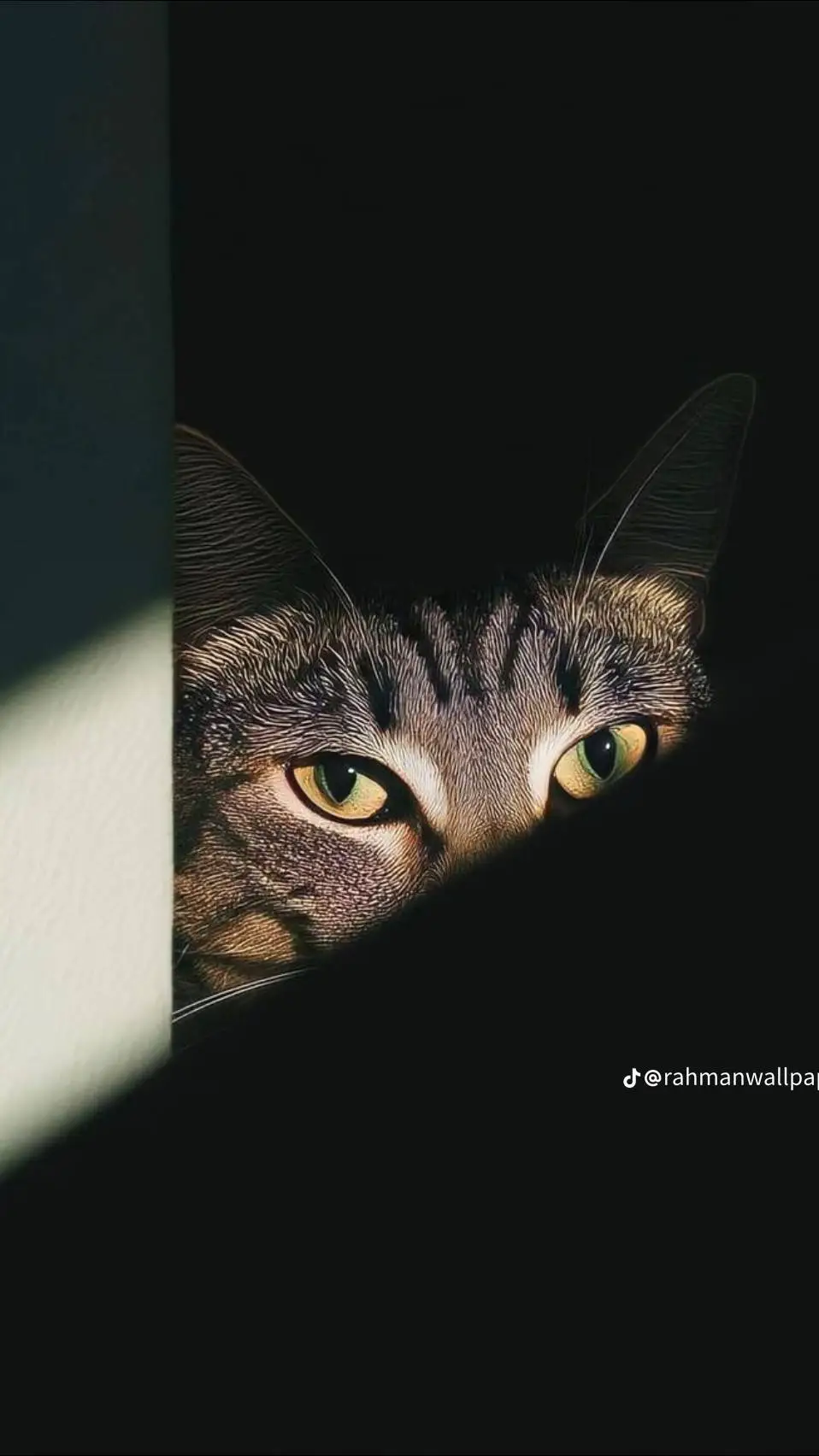 ai character: Islamic🐱 (Pt 31)  background