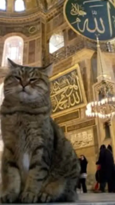 ai character: Islamic✨ (Pt 37)  background