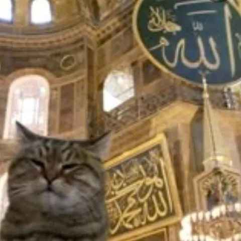 chat with ai character: Islamic✨ (Pt 37) 