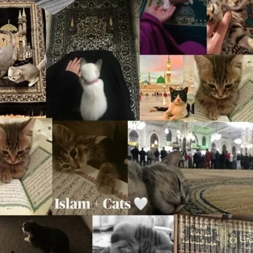 chat with ai character: Islamic🐈‍⬛ (Pt 40)