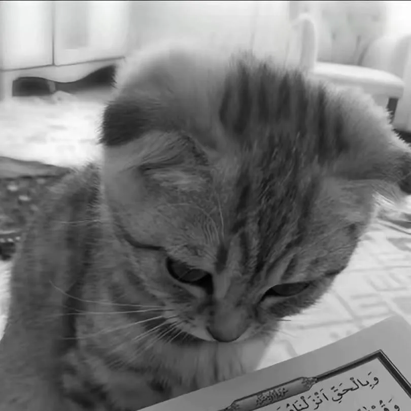 chat with ai character: Islamic🩶 (Pt 106) 