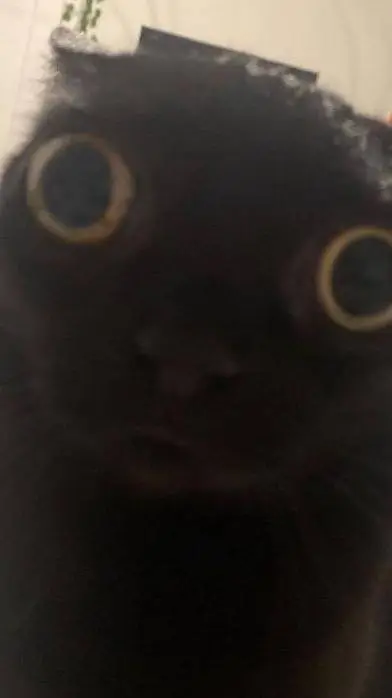 ai character: ezespe  background