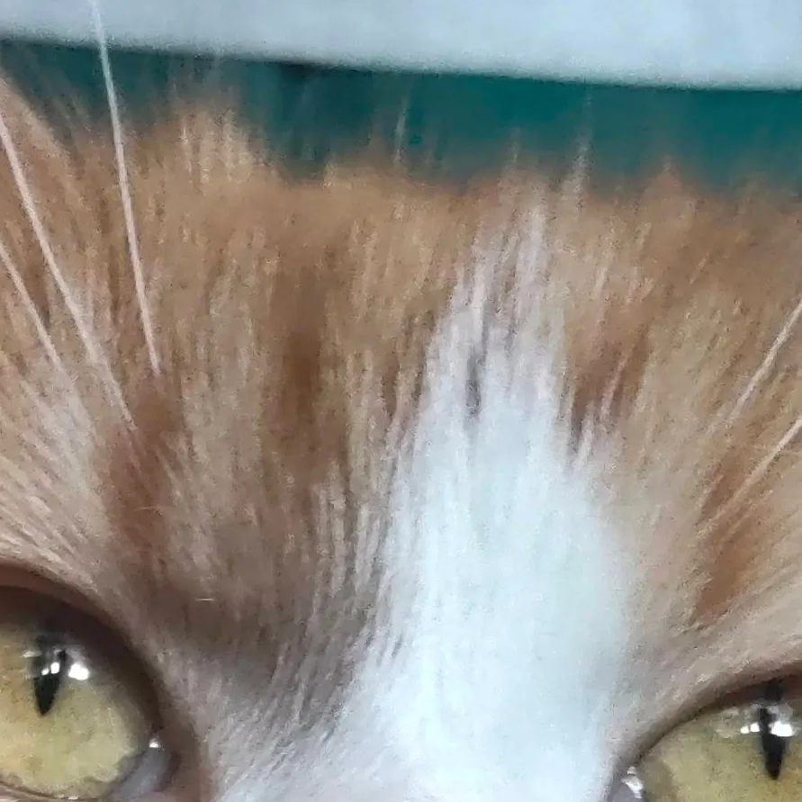 chat with ai character: Котяра