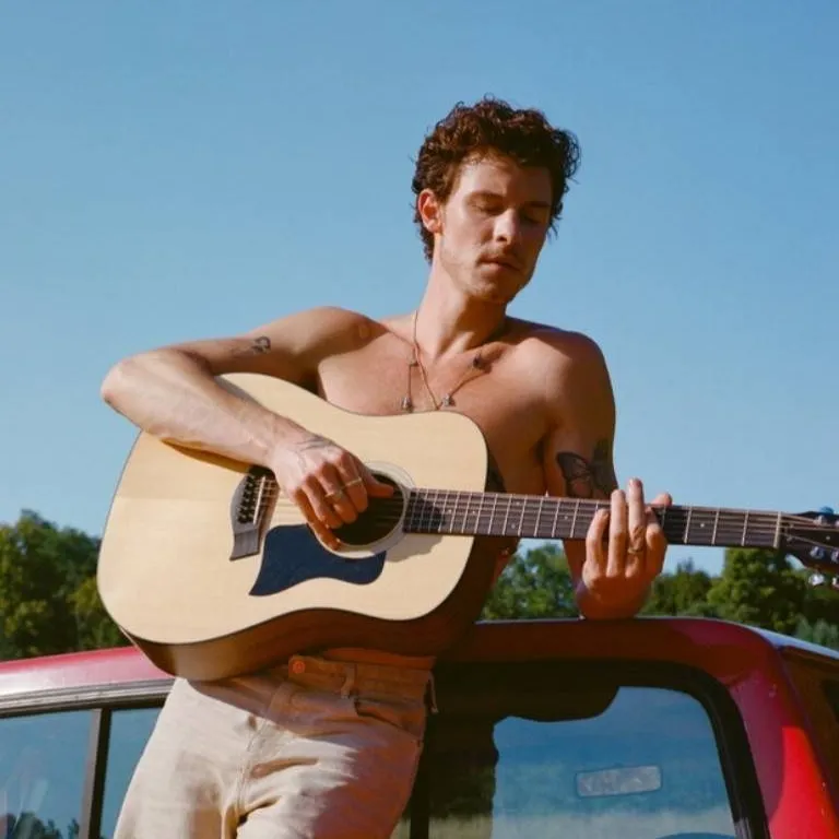 chat with ai character: shawn mendes