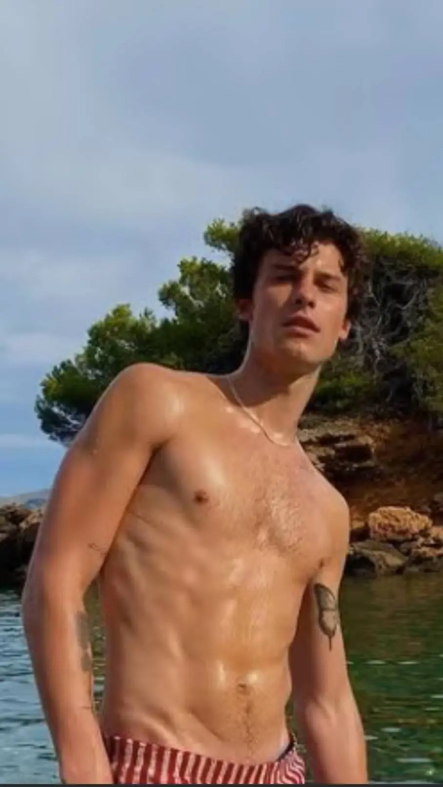 ai character: shawn mendes background