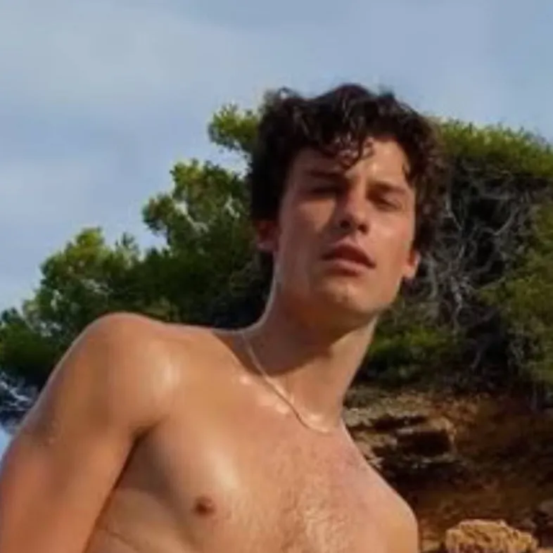 chat with ai character: shawn mendes