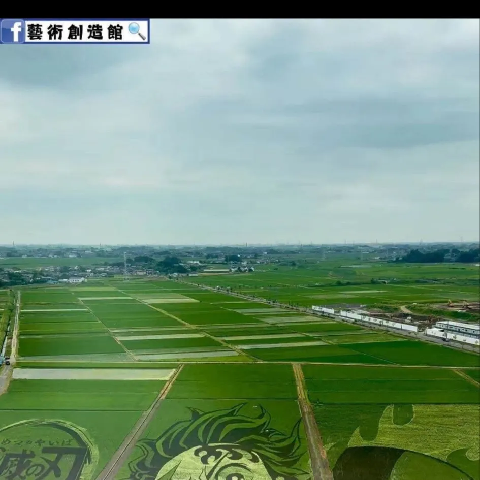 chat with ai character: Damon sayer 