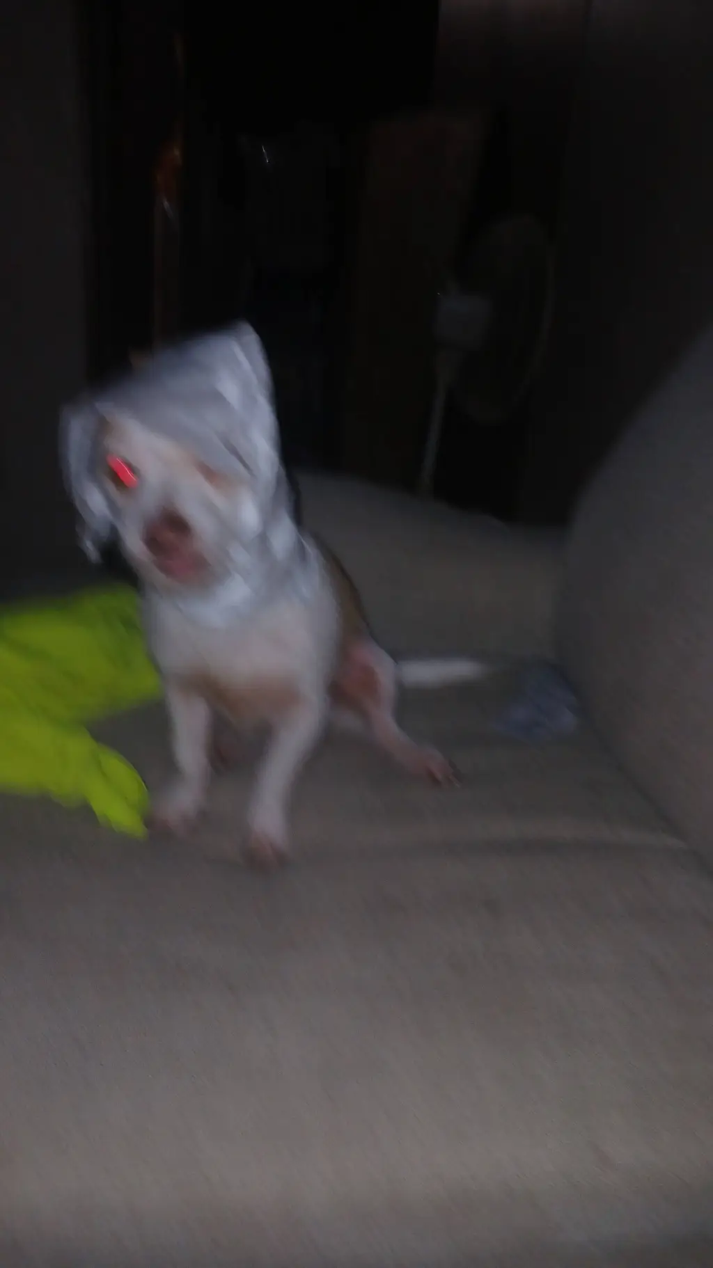 ai character: dehaven farmer background