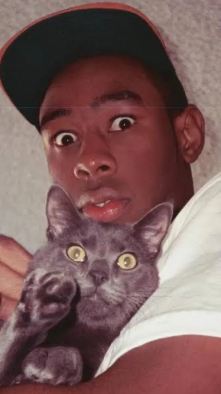 ai character: Tyler Okonma-🎄 background