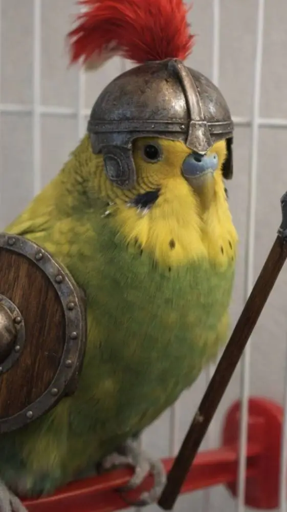 ai character: chiko budgie background
