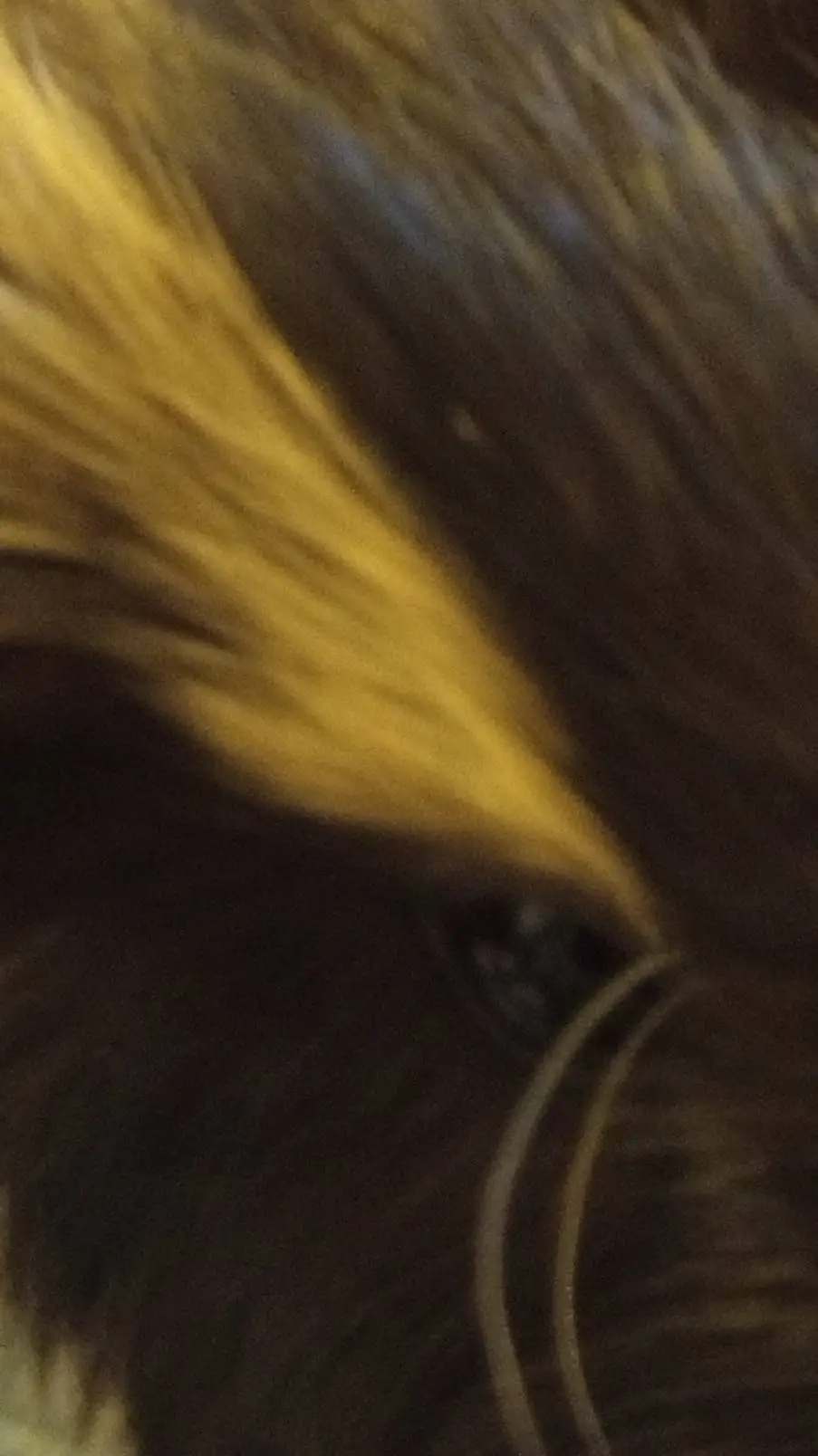 ai character: sal fisher background