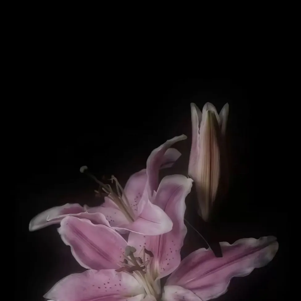 chat with ai character: Flower of emotion