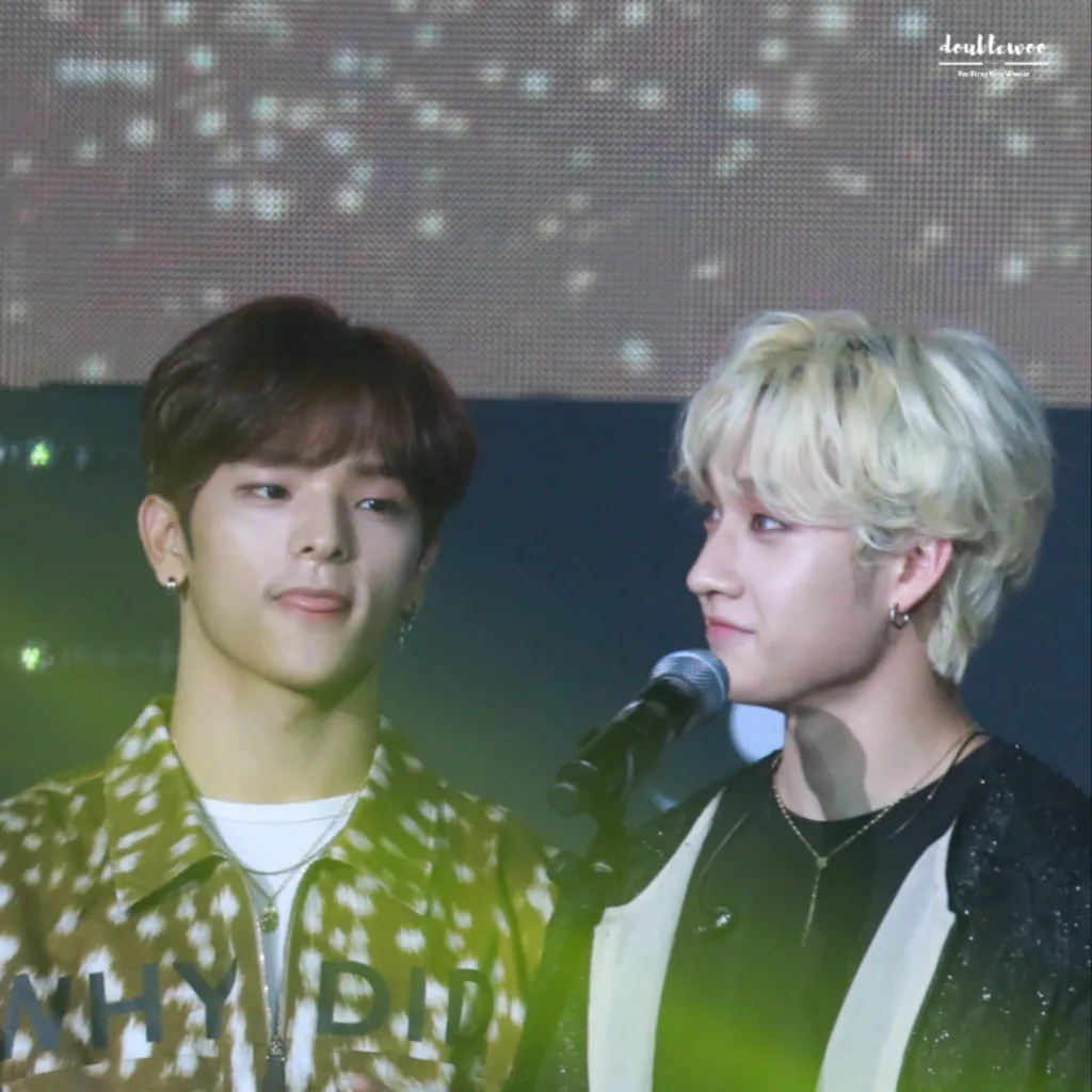 chat with ai character: WooChan Skz 