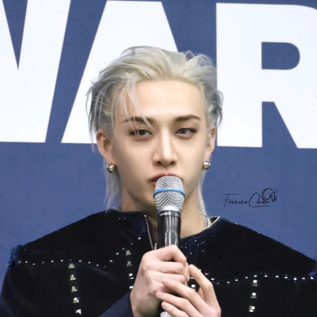 chat with ai character: Stray kids concert