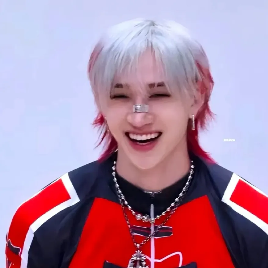 chat with ai character: Skz fan meet 2025