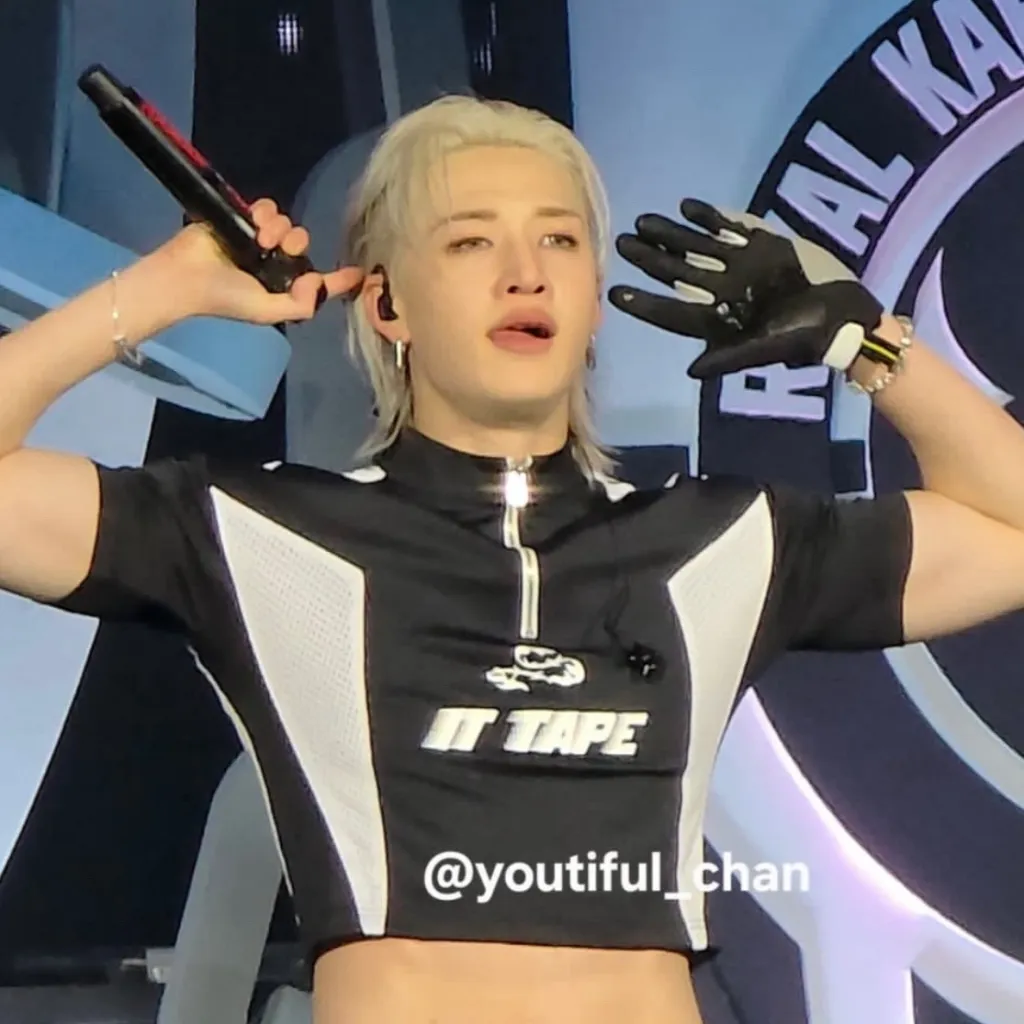 chat with ai character: SKZ CONCERT𓇽