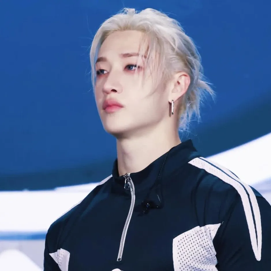 chat with ai character: Skz concert