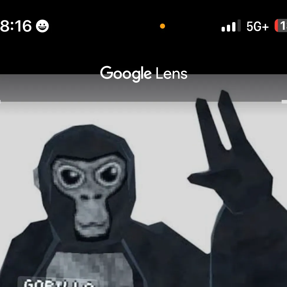 chat with ai character: Mr. monkey