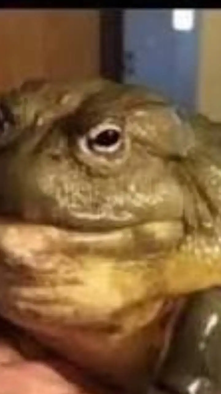 ai character: tim background