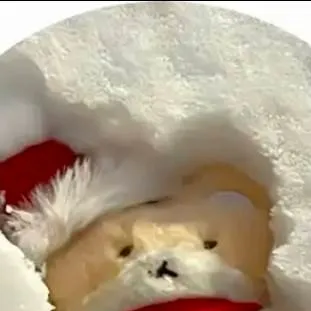 chat with ai character: Anna! 