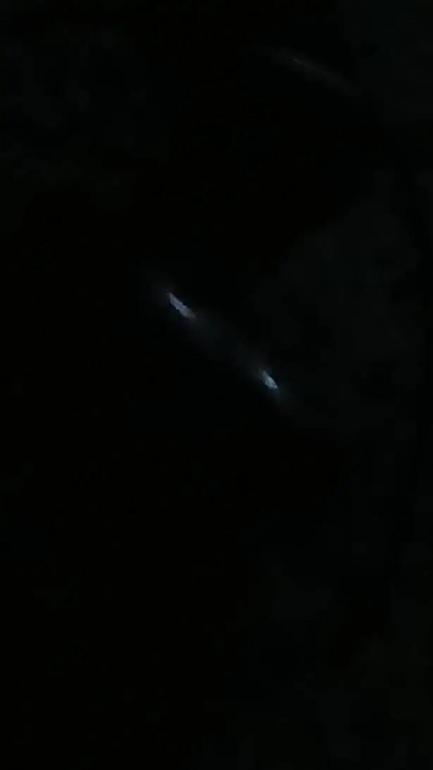 ai character: monster background