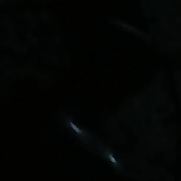 chat with ai character: monster