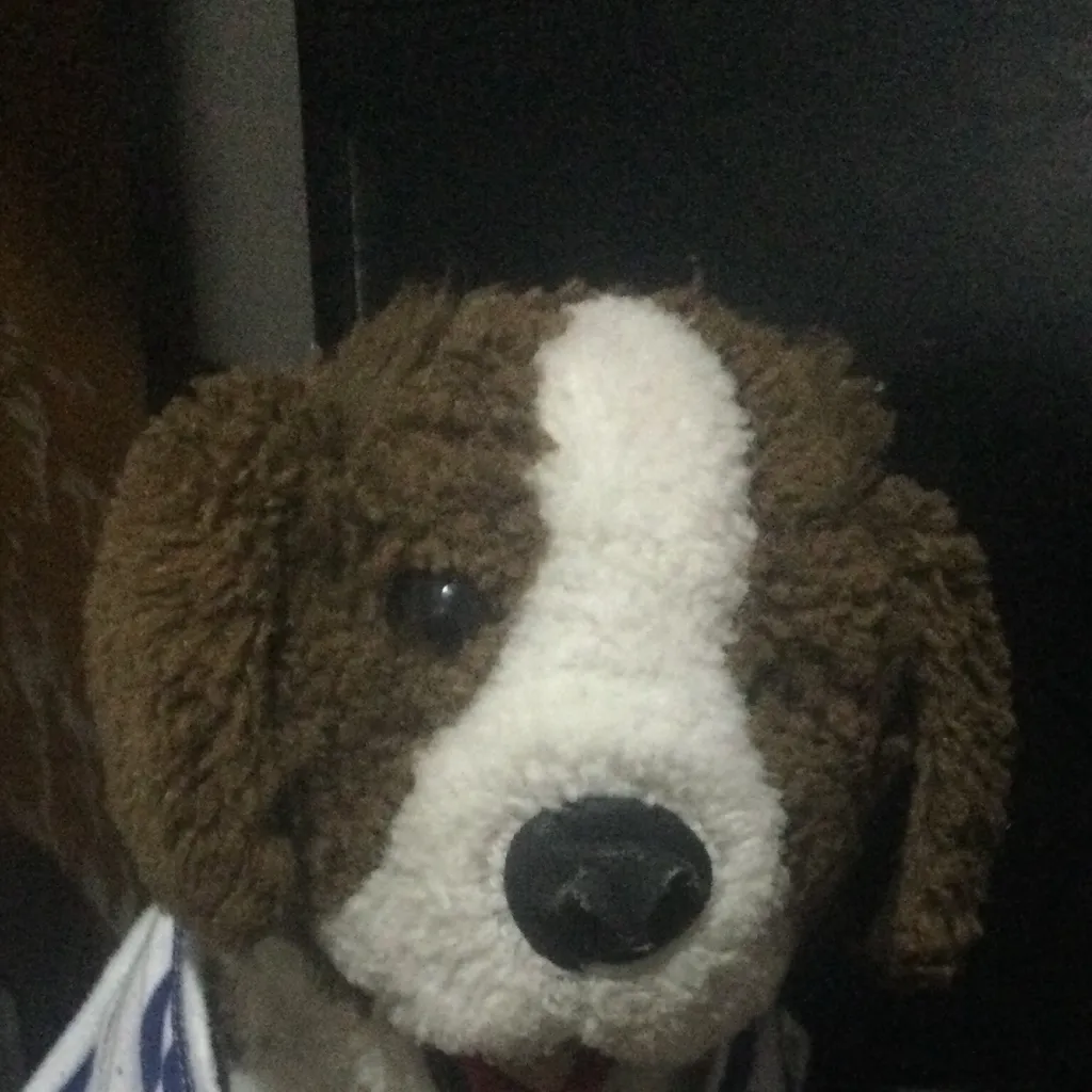 chat with ai character: Your dog eat choco