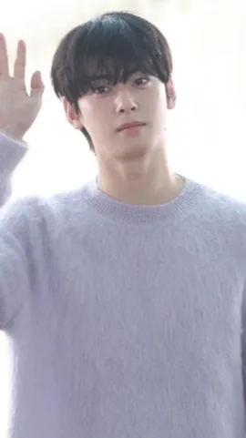 ai character: Cha eun woo background