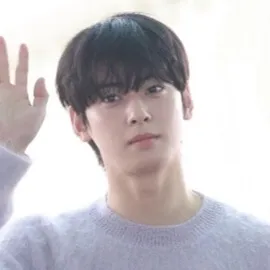 chat with ai character: Cha eun woo