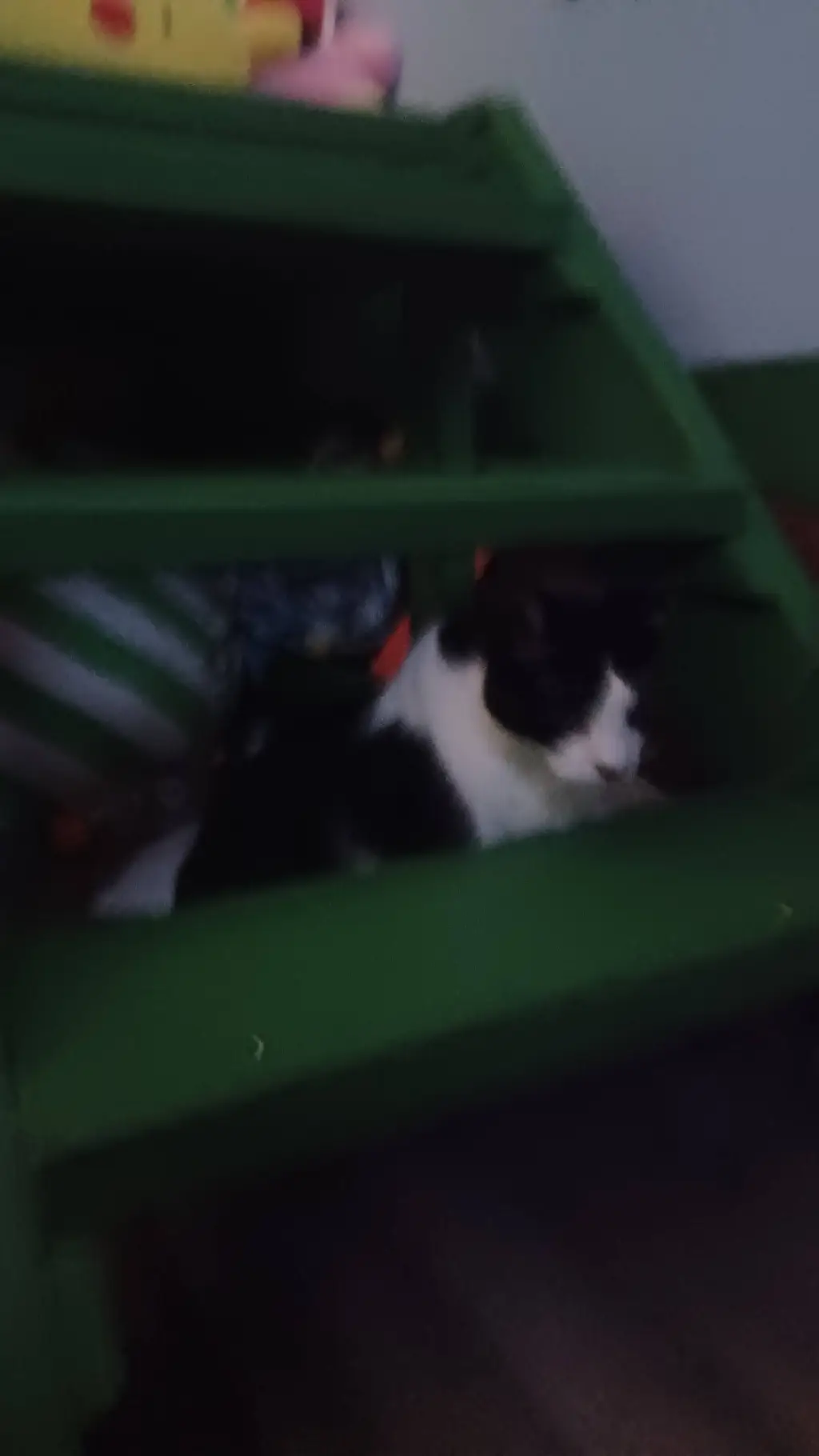 ai character: my cat  background