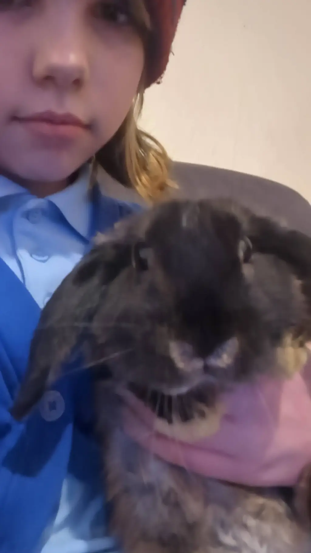 ai character: Thumper :3 background