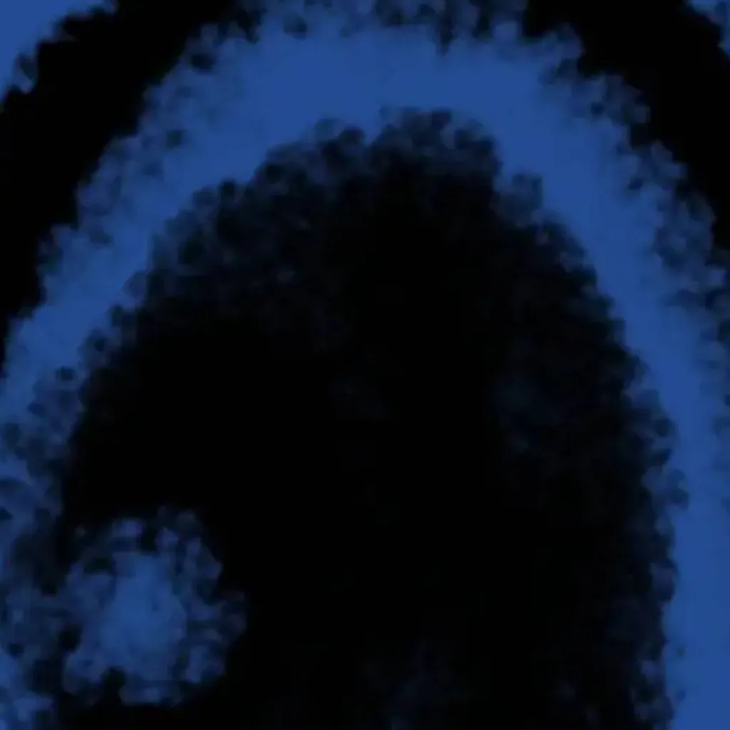 chat with ai character: Solitude 