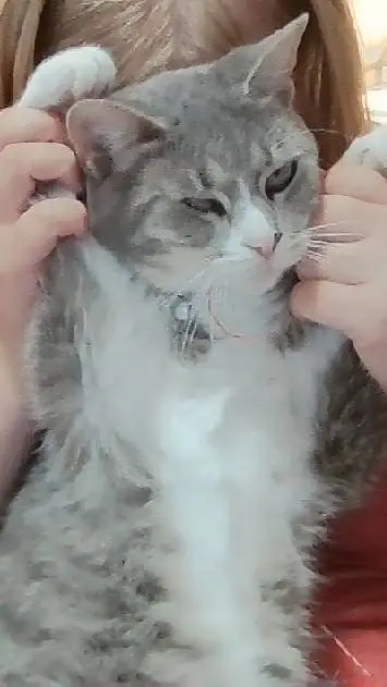 ai character: lil nugget background