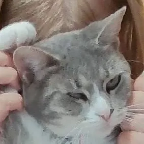 chat with ai character: lil nugget