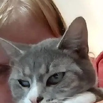 chat with ai character: ;lil nugget