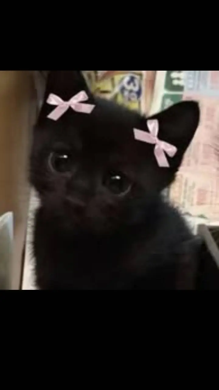 ai character: te revisa el cel 💀 background